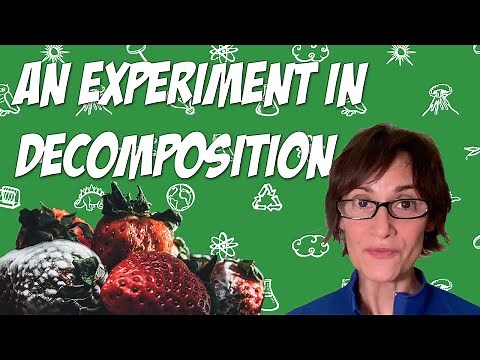 An Experiment in Decomposition