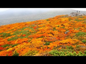 【山の絶景】東北の山「三ツ石山」の美しい紅葉🍁風景
