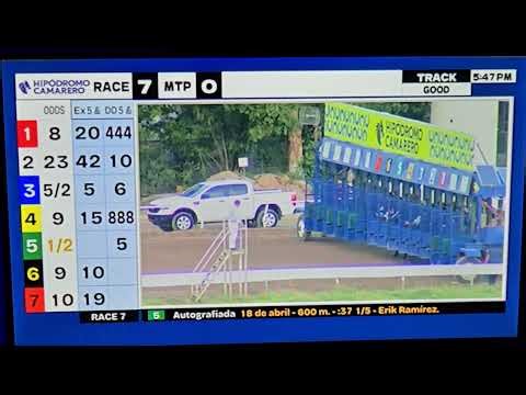 7th Race Camarero Racetrack 🇵🇷