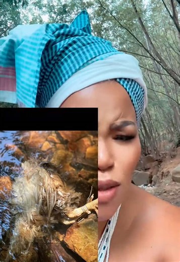 Understanding Water Pollution and Its Consequences