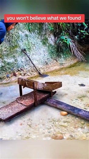 Gold Mining Adventures: Unbelievable Nature Finds
