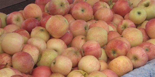 The Apple Days Festival celebrates 50 years in Waynesboro