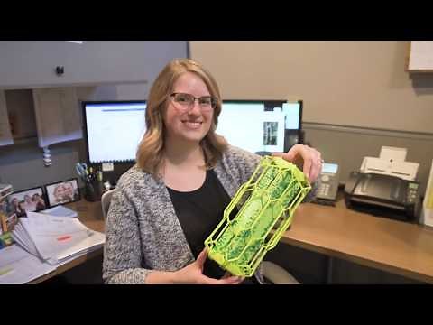 How to use the RESCUE! TrapStik® for Wasps, Mud Daubers & Carpenter Bees