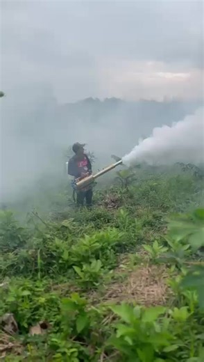 Effective Pest Control Solutions for Your Home