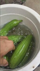 #food If you wash lettuce like this, you're eating pesticides and parasite eggs... #viral Washing...