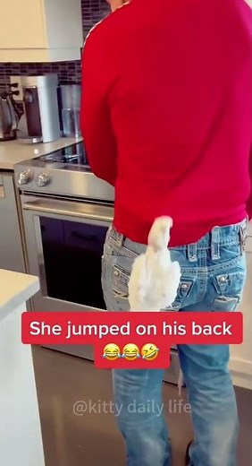 Funny Bird Videos That Will Make You Laugh So Hard! 😂