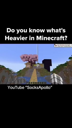 SocksApollo on TikTok