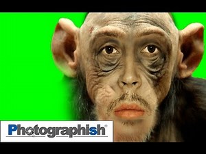 MORPHING EFFECT -Photoshop Tutorial by Philipp Hebold-