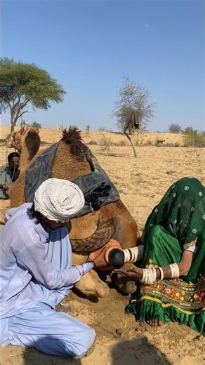 الخيال يلتقي بالواقع: بالون أسود يثير الجمل والمرأة