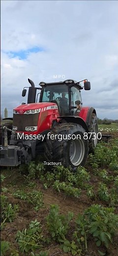#tracteurs #massey #ferguson #8730