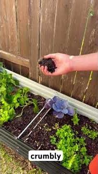 How to germinate seeds #gardening #howto #plants #tips #garden #lifehacks #plants