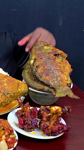 Delicious Food Eating Videos for Food Lovers