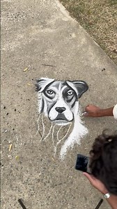 Drawing of a hyper Realistic Dog with chalk |