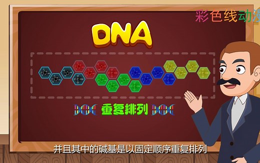 【彩色线科普动画】：DNA是怎么被发现的