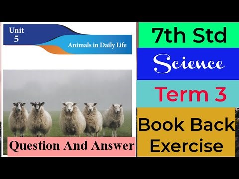 7th Std - Term 3 | Science - Animals in Daily Life - Book Back Exercise
