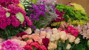 1K views · 58 reactions | Do you know how the term “Flower Power” became popular and widely used? Find out in this clip from episode 108 "Flower Power" from J Schwanke’s Life in Bloom. Watch the show on most Create TV public television (PBS) stations Sunday at 11am EST. | J Schwanke's Life in Bloom | Facebook