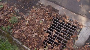 Lane County businesses invited to enroll in reduced-cost storm drain cleaning program