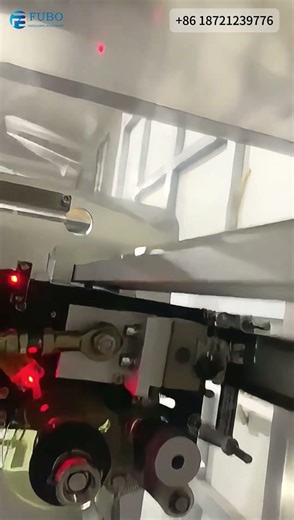Flour Pouch Packaging Machinery | Back Sealing Sachet Packing Machine