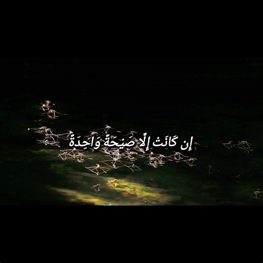 #holyquran