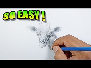 How to draw a giraffe realistic | Easy Drawings
