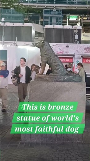 Hachiko:a dog's tale#Hachiko monogatari#Shibuya station#Tokyo