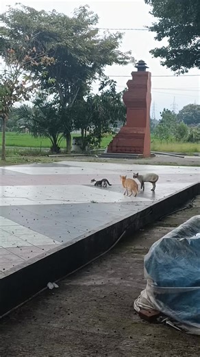 L1ZERG (@l1zerg_)’s videos with suara asli - L1ZERG