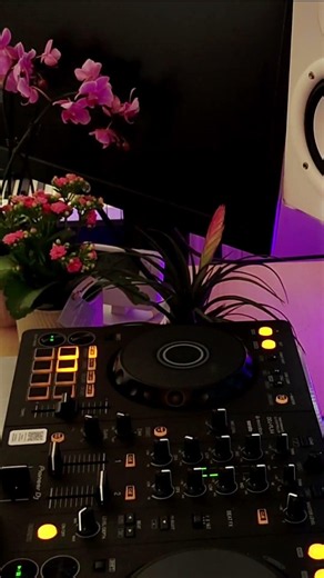 Gala – Freed From Desire ➜ Fatboy Slim – The Rockafeller Skank 🎧 | 90s DJ Transition 🔥 #shorts #dj
