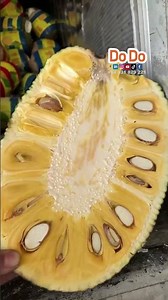 Jackfruit exporting-越南菠萝蜜出口 #fruit #dodofood