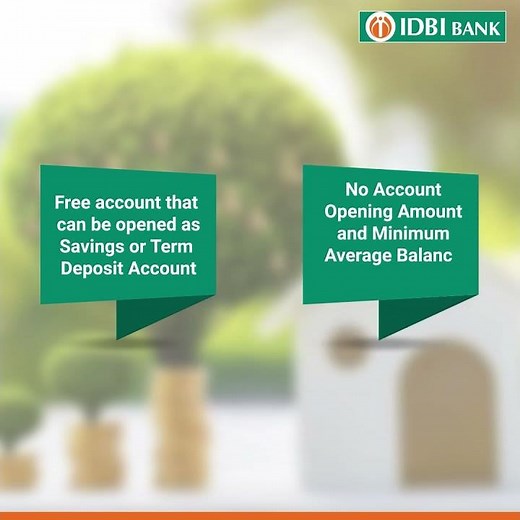 IDBI Bank | Capital Gain Savings Account