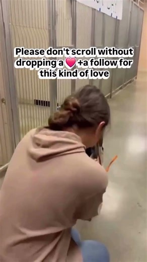 Dog Breaks Down When He Realizes He_s Adopted#USA C#Canada D#Unitedkingdom *#Germany #Australia