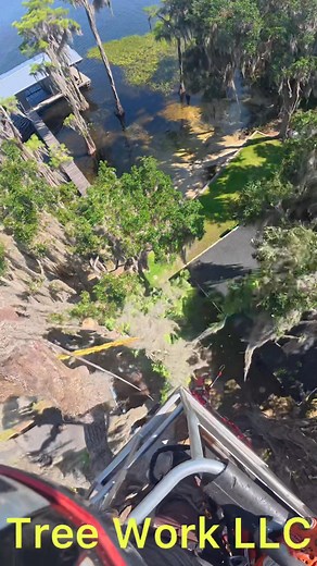 Tree Service LLC | Tree trimming service USA 43