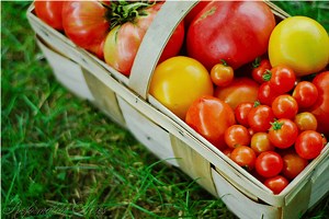 43  Recipes Using a Food Strainer - Reformation Acres