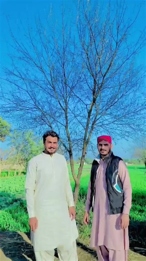 Exploring Trendy Light Colour Effects in Videos