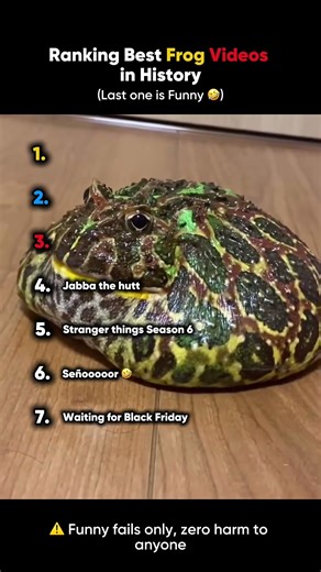 Ranking the best frog moments