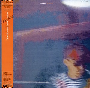 Pet Shop Boys - Disco