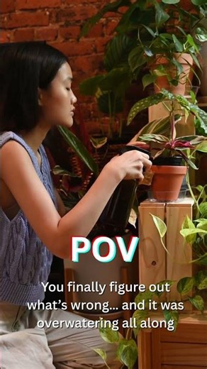 POV: You found the problem