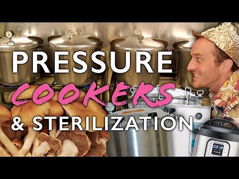 Pressure Cookers & Sterilization for Mushroom Cultivation (Plus a Low-Tech Alternative)