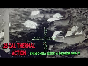 .25 CAL AT THE PIGFARM !!