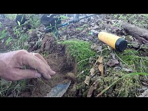 Minelab Pro35 vs Garrett carrot