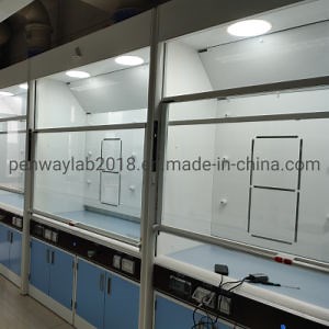 [Hot Item] Quality Testing Lab Aluminum Alloy and Steel Fume Hood