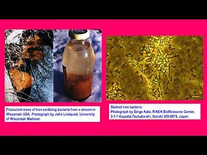 Sneak Peek of 75th Lecture "Coating Failures in Water-Immersion Conditions owing to MIC" by Dr.G.S