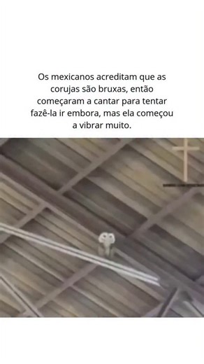 Fatos de Inteligência | Curiosidades on Instagram: "Há cerca de 1 milhão de anos, nossos ancestrais aprenderam a controlar o fogo. Isso mudou tudo: comida cozida, proteção contra animais e até reuniões em volta da fogueira! ⚡ A eletricidade sempre existiu, mas alguém precisou domá-la Benjamin Franklin, em 1752, provou que o raio era eletricidade. Depois disso, gênios como Edison e Tesla transformaram energia em luz, motores e no mundo moderno que conhecemos! 🚗 O carro nasceu bem antes do que mu