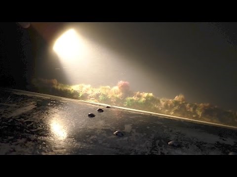 Making Underwater Lights