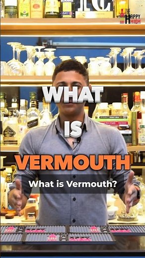 What is a Vermouth ?