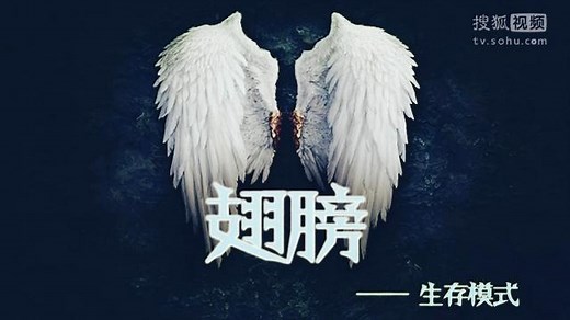 我的世界MOD【MC生存翅膀】Survival Wings视频介绍