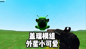 盖瑞模组外国小可爱