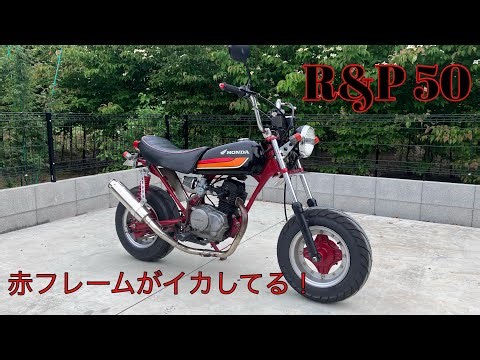 【車両紹介】赤フレームがイケてる可愛いバイク！R&P ノーティDAX 50