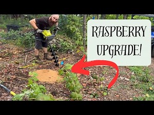 DIY Raspberry Trellis in Minutes with the Ryobi Auger!