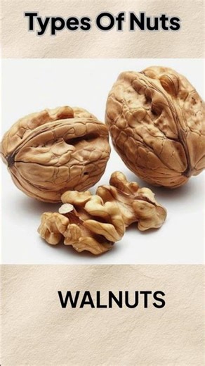 Every Type of Nut Explained 🌰