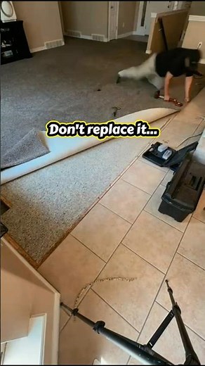 Don't Replace Rippled Carpet - Do This Instead | Vital Clean Carpet Repairs & Stretching